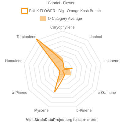 Gabriel-Orange%20Kush%20Breath Gabriel-Orange%20Kush%20Breath